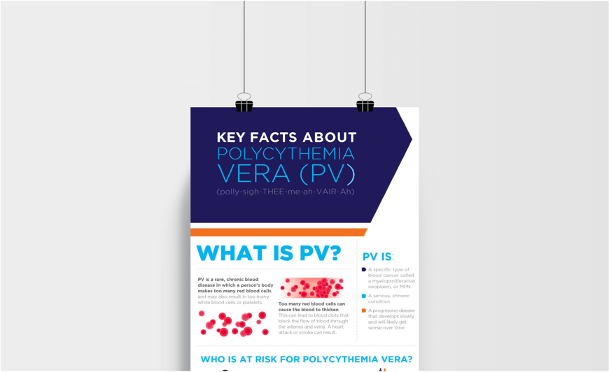 Image of the PDF – Key Facts About PV