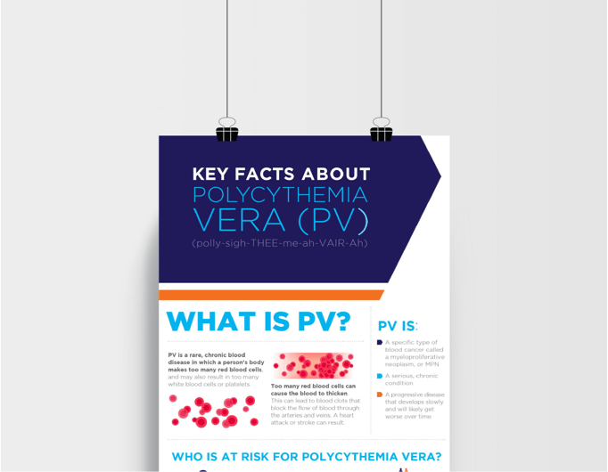 Image of the PDF – Key Facts About PV