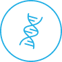 Icon of a double helix