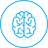 Human brain icon
